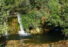 The Hebdomon and Its Position by the Sea