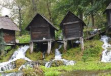 The Visit of Pope Constantine in 708