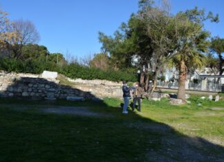 The Limits of Physical Courage